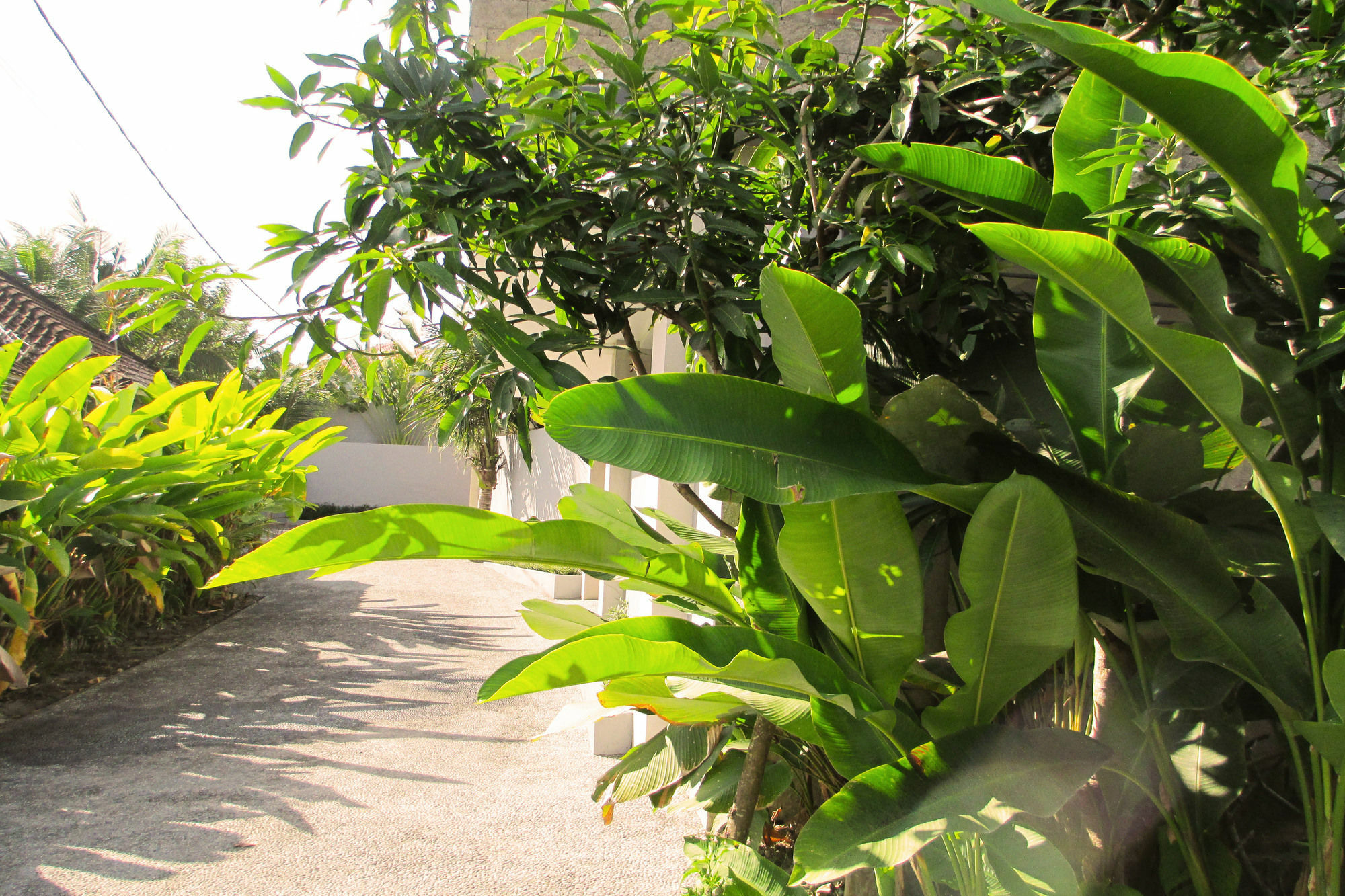 Panorama Private * Ubud (Bali)